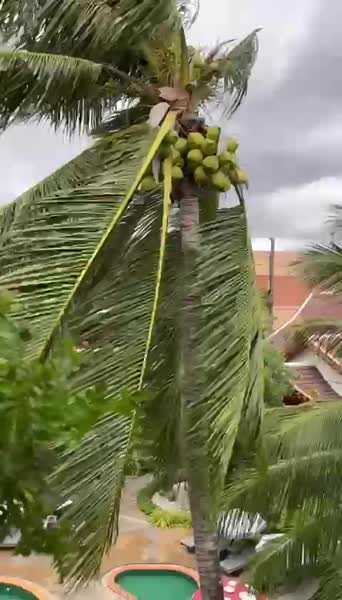 Видео из отеля Kata Palm Resort & Spa 4*