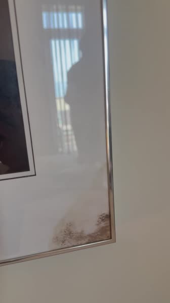 видео из отзыва ID 2687788