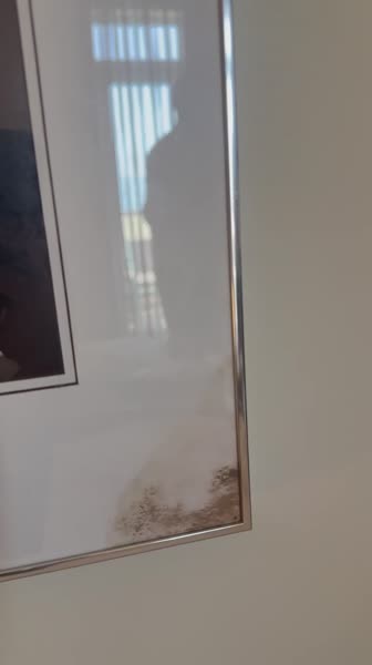 видео из отзыва ID 2687788