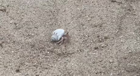 видео из отзыва ID 2687848