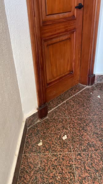 видео из отзыва ID 2688522