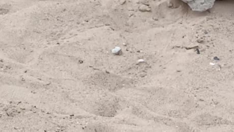 видео из отзыва ID 2687876
