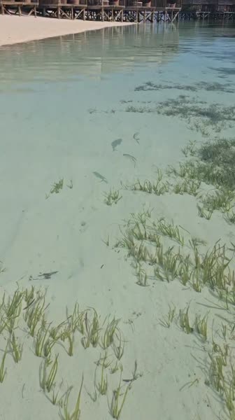 видео из отзыва ID 2689250