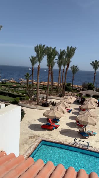 Видео из отеля Siva Sharm Resort & Spa 4*