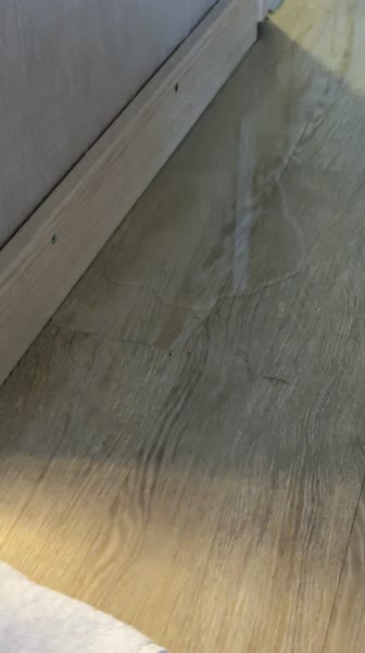 видео из отзыва ID 2689614