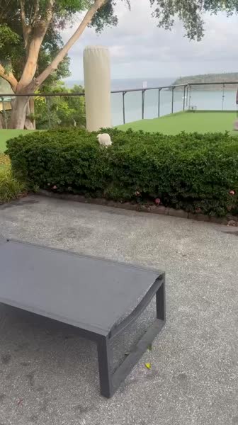 видео из отзыва ID 2689635