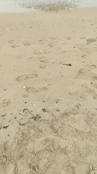 видео из отзыва ID 2689644