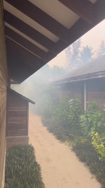 видео из отзыва ID 2690612