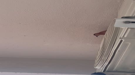 видео из отзыва ID 2690647