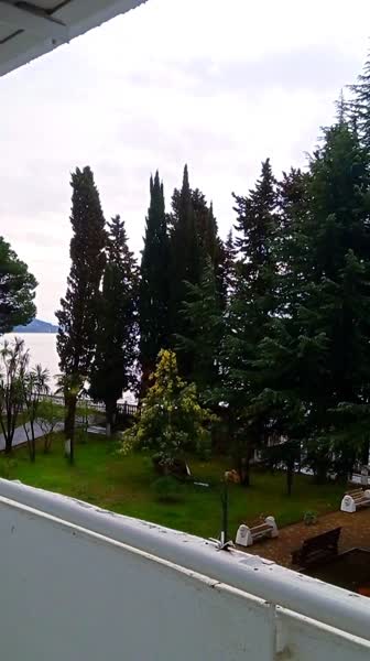 видео из отзыва ID 2679210