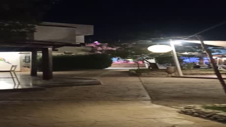 видео из отзыва ID 2691451