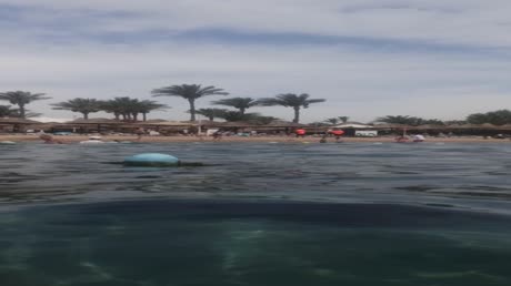 Hotel videos Viking Club 4*