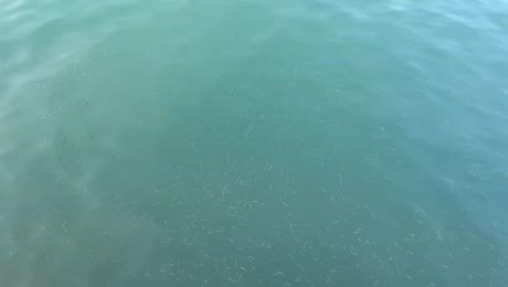 Видео из отеля