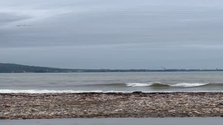 видео из отзыва ID 2691850