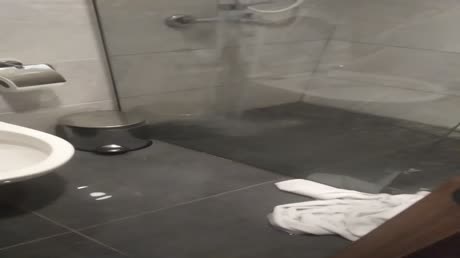 видео из отзыва ID 2691965