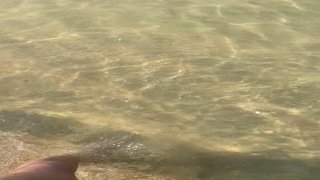 видео из отзыва ID 2692695
