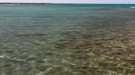 видео из отзыва ID 2693187