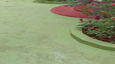 видео из отзыва ID 2693784
