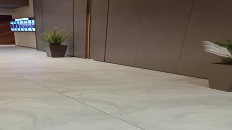 видео из отзыва ID 2694452