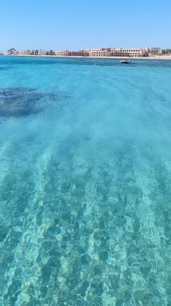 видео из отзыва ID 2694884