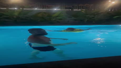 видео из отзыва ID 2695325