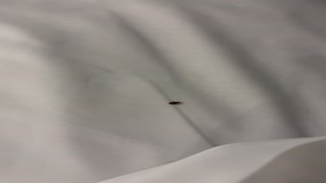видео из отзыва ID 2695633