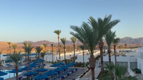 Видео из отеля Albatros Sharm Resort - Sharm El Sheikh 4*