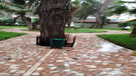 видео из отзыва ID 2696262