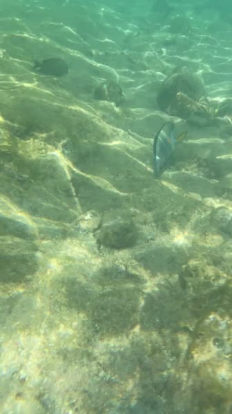 видео из отзыва ID 2696676