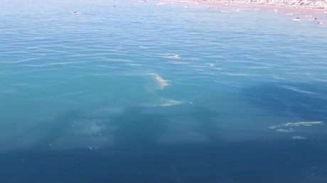 видео из отзыва ID 2696895
