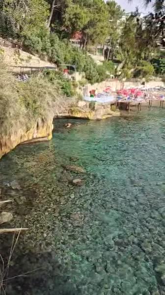 видео из отзыва ID 2697048
