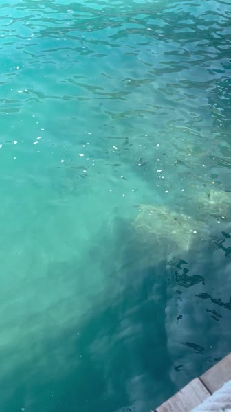 видео из отзыва ID 2697932