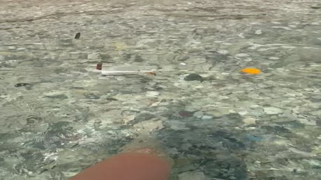 видео из отзыва ID 2699198