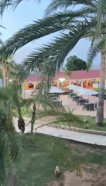 Видео из отеля