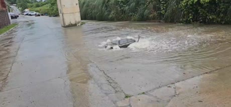 видео из отзыва ID 2699982