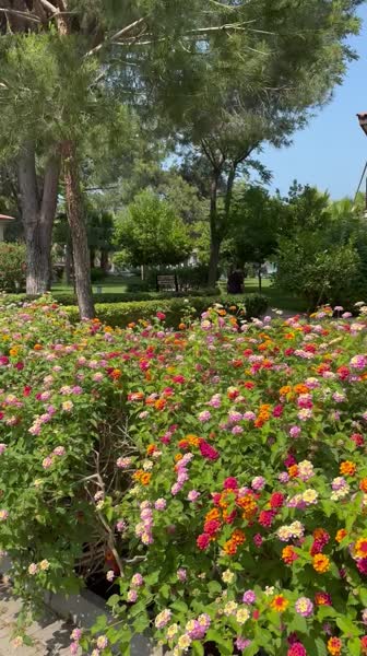 видео из отзыва ID 2700076