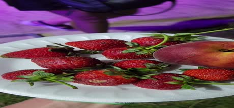 видео из отзыва ID 2700145