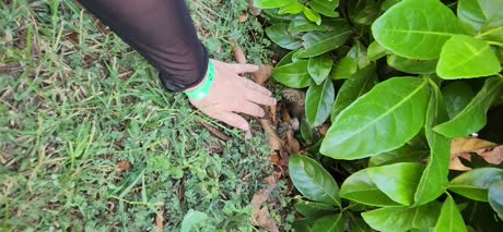 видео из отзыва ID 2700145