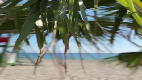 видео из отзыва ID 2700168