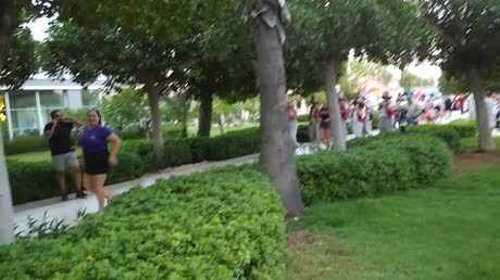 видео из отзыва ID 2696570