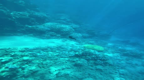 видео из отзыва ID 2700785