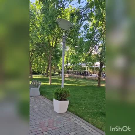 видео из отзыва ID 2701051