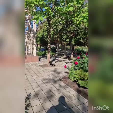 видео из отзыва ID 2701051