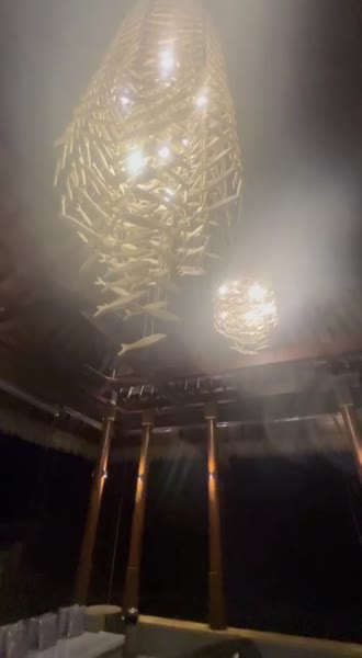 Hotel videos