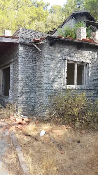 видео из отзыва ID 2639280