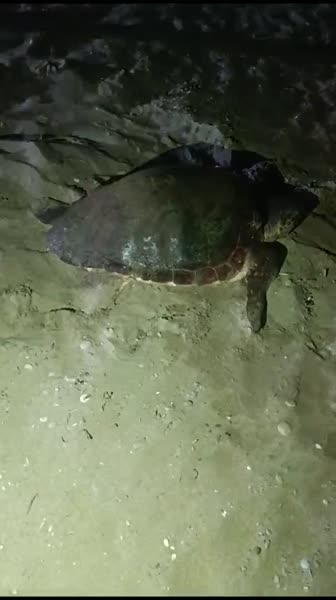 Видео из отеля