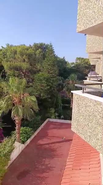 видео из отзыва ID 2702435
