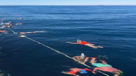 видео из отзыва ID 2702506