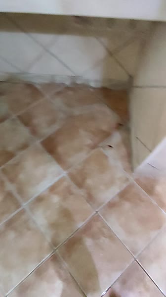 Видео из отеля Palmyra Beach 3*