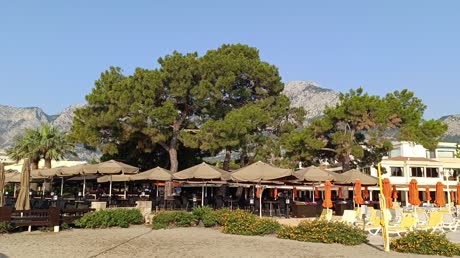 видео из отзыва ID 2703271